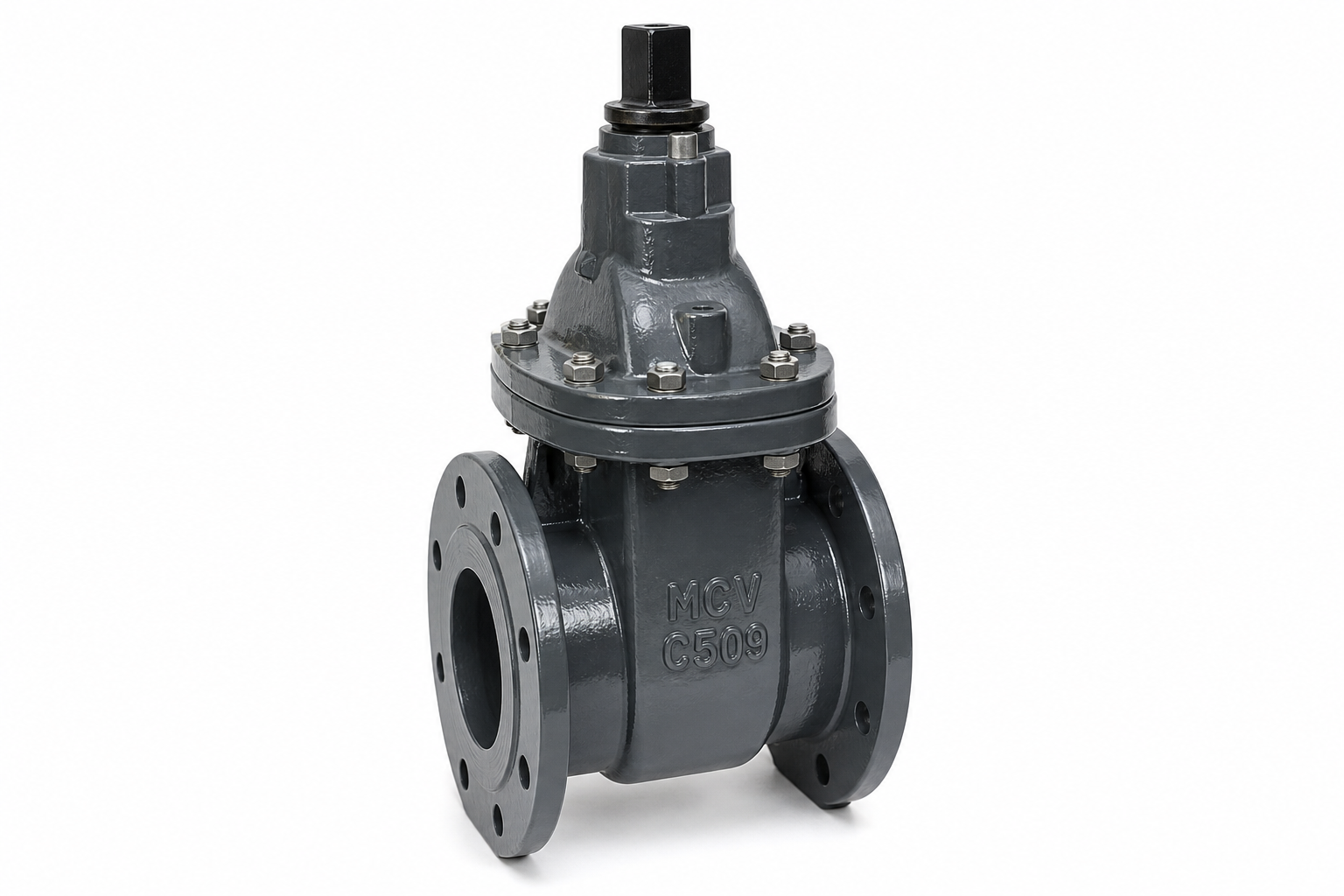 Series 25 AWWA C509 gray iron gate valve